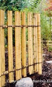 Zaune Bambus Informationszentrum Bambus Kultur Bei Hannover Bambus Garten Bambuszaun Zaun