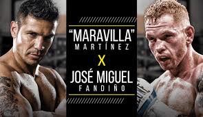 PELEA COMPLETA Maravilla Martínez vs Fandiño Youtube: KO técnico del  boxeador argentino