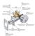 Exterior Door Door Anatomy