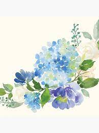 Blue Watercolor Hydrangea Throw Pillow By Junkydotcom Hydrangea Painting Watercolor Hydrangea Flower Painting