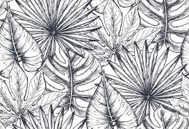 Black And White Plants Wallpaper Removable Wallpaper Tropical Plants Wallpaper Self Adhesive Etsy How To Draw Hands Plant Wallpaper Black And Blue Wallpaper
