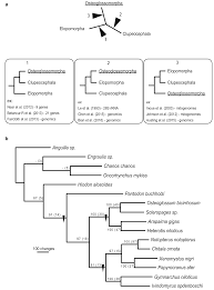 Kunjungi saja topik ini dan anda akan menemukan tambang emas kata kata. Https Www Scielo Br J Ni A 3tfmgx8y8vptny9smkwzn9x Format Pdf Lang En
