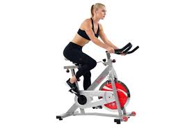 Stationary bikes, and in particular upright exercise bikes are among the most popular machines for doing exercise at home, and for good reasons. Top 10 Best Stationary Bikes In 2021 How To Find The Right One The Gym Lab