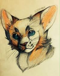 Quietecho Bust By Songsofthespirits Cat Drawing Cat Art Warrior Cats