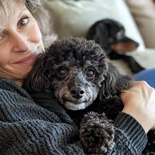 Police Officer and Family Adopt Abandoned Dog from Shelter