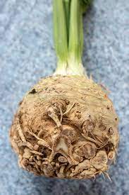 This can be a slightly confusing category because some in earlier years, root vegetables were considered to be the food of the poor because they were not very expensive and were easily available. German Soup Vegetables Suppengrun The Kitchen Maus