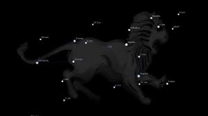 Regulus Star The Lions Heart Astrology King