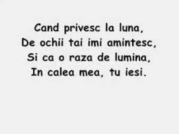 Zilnic eu mă zbat să te fac din nou să mă iubești. Poezii De Dragoste Scurte Si Frumoase Pentru El