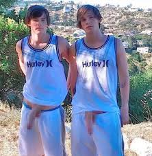 同一款GG 可賺兩倍紅利！ 這6 對雙胞胎兄弟檔都曾同框入鏡拍GV | GagaTai 嘎嘎台