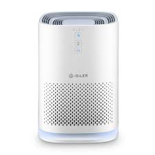 We have also included a buyer's guide to make it easier for you to pick. Homeleader Air Purifier With True Hepa Filter Dust Pollen Mold Spores Pet For Sale Online Ebay