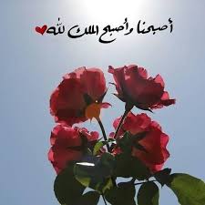اصبحنا واصبح الملك لله والحمد لله رب العالمين Morning Images Instagram Profile Instagram