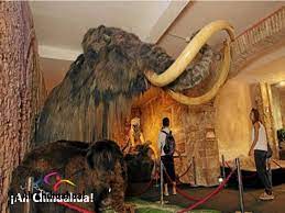 El Museo Del Mamut Turismo En Chihuahua 1 Mexican Designs Chihuahua Mexico