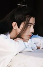 El hijo de Lan Qi Ren.