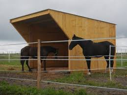 Fabrication D Un Abri De Pre Pour Les Chevaux Abri Chevaux Cheval Abri