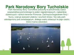 Công viên quốc gia bory tucholskie (vi); Park Narodowy Bory Tucholskie Online Presentation