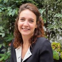 50+ "Szkatulski" profiles