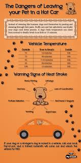 Dog owners have been warned to keep an eye on signs of overheating in their pets credit: Signs Of Dog Heat Stroke The Daily Boxer