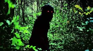 More definitions, origin and scrabble points Watch Uncle Boonmee On Criterion Channel Stream Of The Day Indiewire