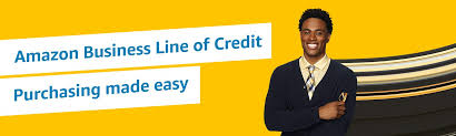 Amazon gives two different consumer credit cards from two different credit card issuers. Amazon Com Amazon Business Line Of Credit Credit Card Offers