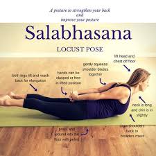 Fit And Fabulous Salabhasana Locust Pose Vinyasa Yoga Teacher Training Ashtanga Vinyasa Yoga Yoga Poses
