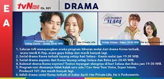 Tvn (total variety network) is a general entertainment network in south korea. Transvision Tvn Tvn Movies