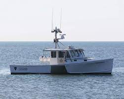 100 Ideas De Lanchas Lanchas Barcos Pesca