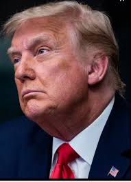 Manfred hoefling (@Manfredhoeflin2)