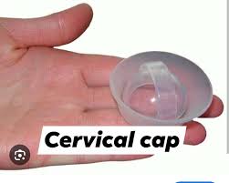 Image result for Cervical Cap