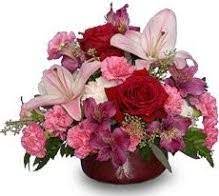 Part of north carolina's famed research triangle, durham is famously home to duke university and north carolina central university. About Us Creative Flowers Interiors Durham Nc