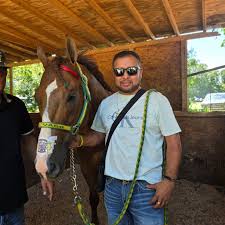 Carreras De Arkansas