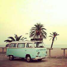 Kombi Palm Trees Vw T6 Vw T3 Vw T1