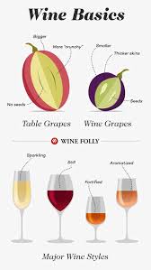 Wine Basics A Beginners Guide To Drinking Wine Wine Folly
