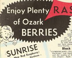 You need to try this diy nursery mountain mural. File 1954 Catalog Of Hardy Ozark Mountain Grown Nursery Stock At Amazingly Low Prices Direct From Grower To Planter 1954 16669628742 Jpg Wikimedia Commons