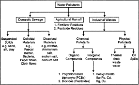 Make A Chart Illustrating The Kinds Of Water Pollutants From