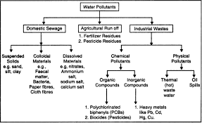 Make A Chart Illustrating The Kinds Of Water Pollutants