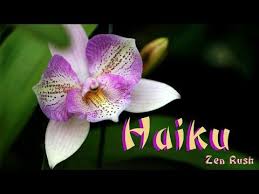 Haiku Poems Poems In English Poetry Video Youtube In 2020 Poems In English Haiku Poems Best Poems