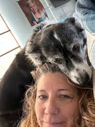 sudden death of a 10 year old dog?