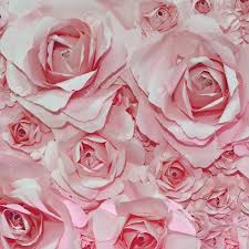 Find the best free stock images about hintergrund rose. Schone Rosa Rose Hintergrund Lizenzfreie Fotos Bilder Und Stock Fotografie Image 39892591