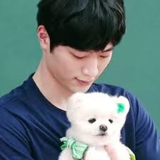 Hazelnut (@hazelkangjoon)