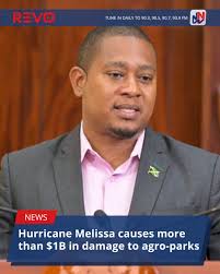 Following the recent killing of a policeman, General Secretary of the  Jamaica Police Federation, Detective Constable Tameca Thomas, says attacks 
