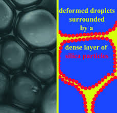 We did not find results for: High Internal Phase Emulsions Stabilized Solely By Functionalized Silica Particles Ikem 2008 Angewandte Chemie International Edition Wiley Online Library
