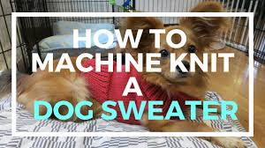 Diy stylish knit dog sweater for extra small, small, medium and large dogs part 1 of 2 by marly bird. How To Machine Knit A Dog Sweater Picture Healer Feng Shui Craft Art Chinese Medicine