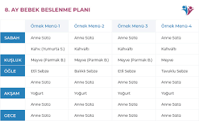 8 ay bebek beslenmesi