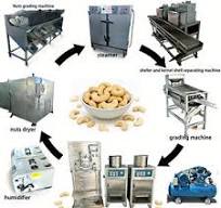 Cashew Nut Packaging Line - Best Solutions for Your Business