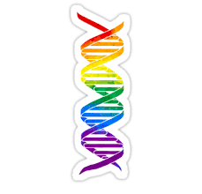 Rainbow Double Helix Sticker By Moietymouse Sticker Design Biology Gift Double Helix
