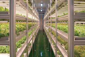 Eco farm 630w samsung lm301h /lm301b full spectrum folding led grow light. Indoor Vertical Farm Led Grow Light Korean Electronics Com