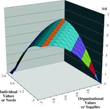 Contoh soal person organization fit. Person Organization Fit Effects On Organizational Attraction A Test Of An Expectations Based Model Sciencedirect