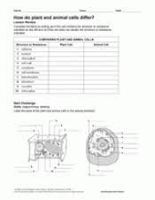 Animal cell coloring, cell organelle worksheet, meiosis review worksheet answer key, cell. How Do Plant And Animal Cells Differ Printable 6th 12th Grade Teachervision