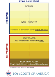 How To Monitor Your Urine Hydration Status Itechsoul