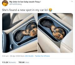 Wholesome Animal Memes To Start The Week Off Right Cute Baby Animals Cute Animals Cute Animal Memes